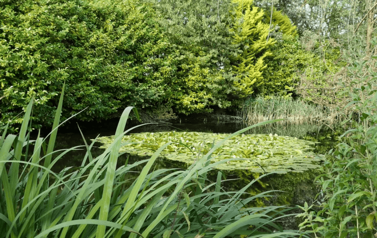 Ground Source Review River House ǀ Heat Pump - View of Lake