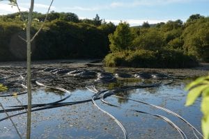 Coils in lake for ground source heat pump system