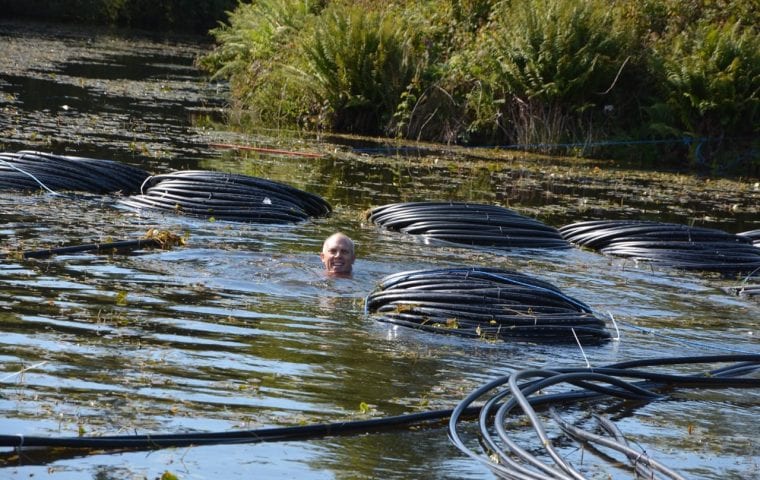 Blaenllechog Farm water source heat pump case study: installing pond mats in the lake